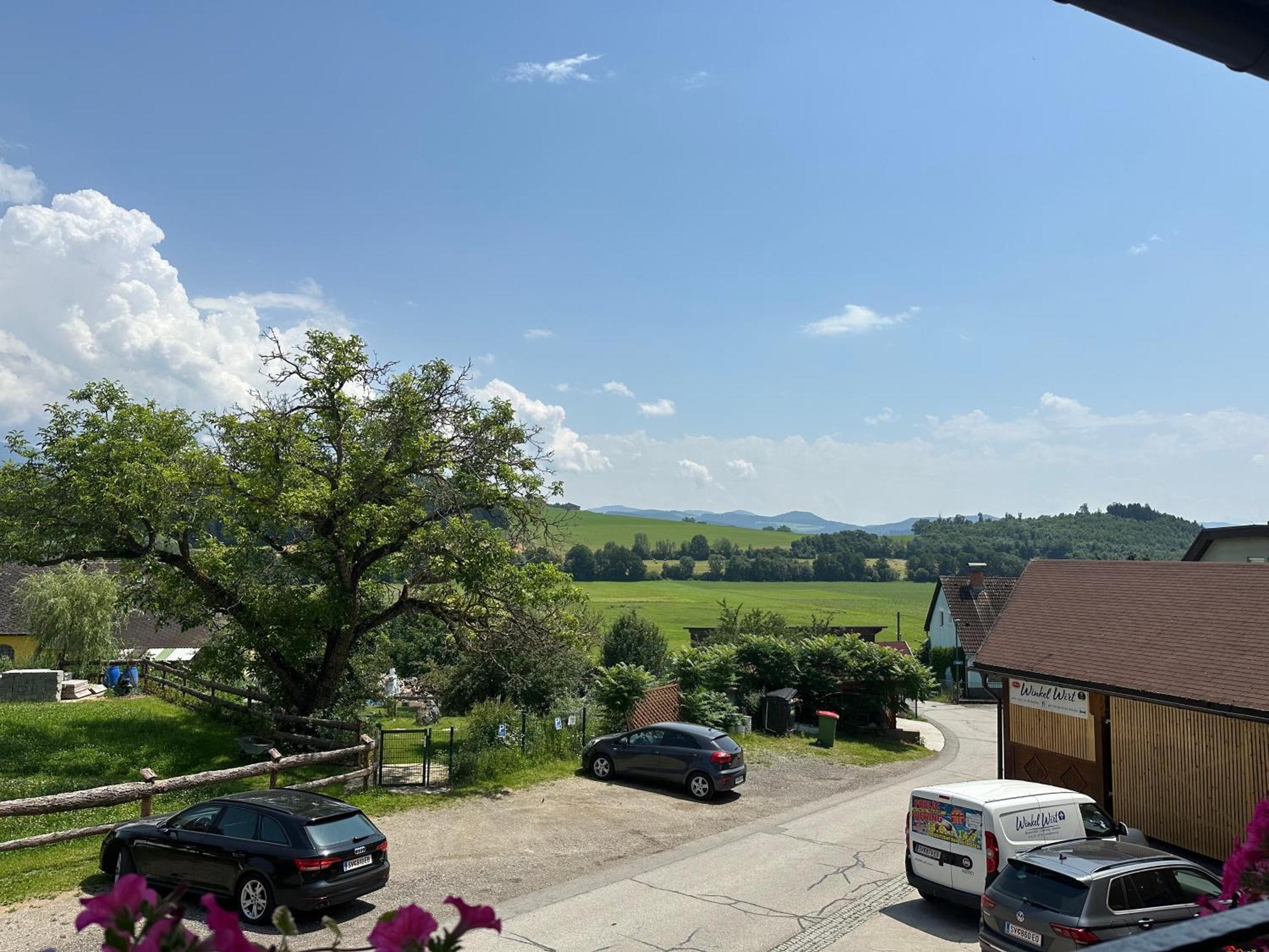 Gasthof Winkelwirt Althofen (Carinthia) Exterior foto